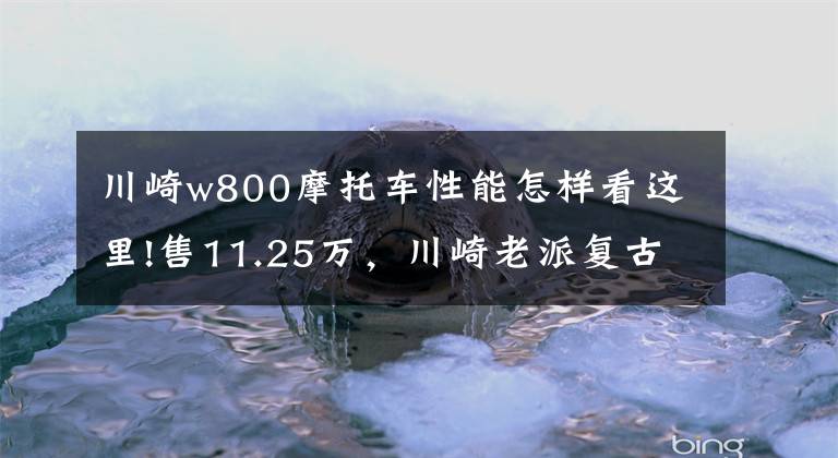 川崎w800摩托車性能怎樣看這里!售11.25萬，川崎老派復古W800，配鋼絲輪+毛毛蟲坐墊，馬力48匹