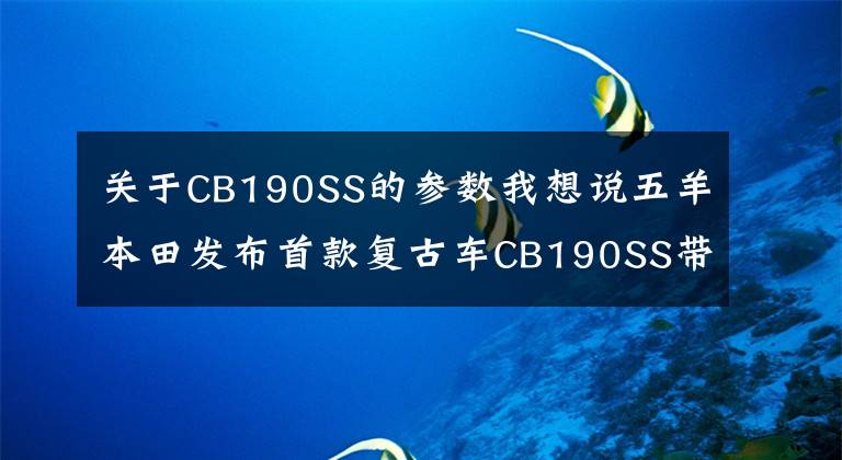 關(guān)于CB190SS的參數(shù)我想說五羊本田發(fā)布首款復(fù)古車CB190SS帶ABS，和多款國四新車