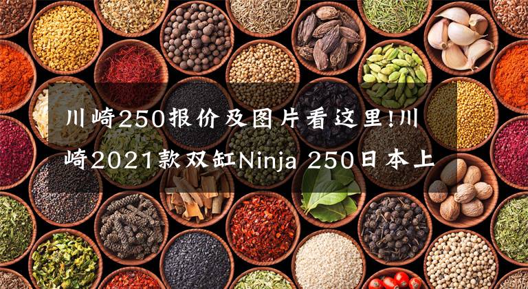 川崎250報(bào)價(jià)及圖片看這里!川崎2021款雙缸Ninja 250日本上市