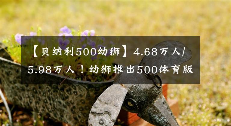 【貝納利500幼獅】4.68萬人/5.98萬人！幼獅推出500體育版/800越野版