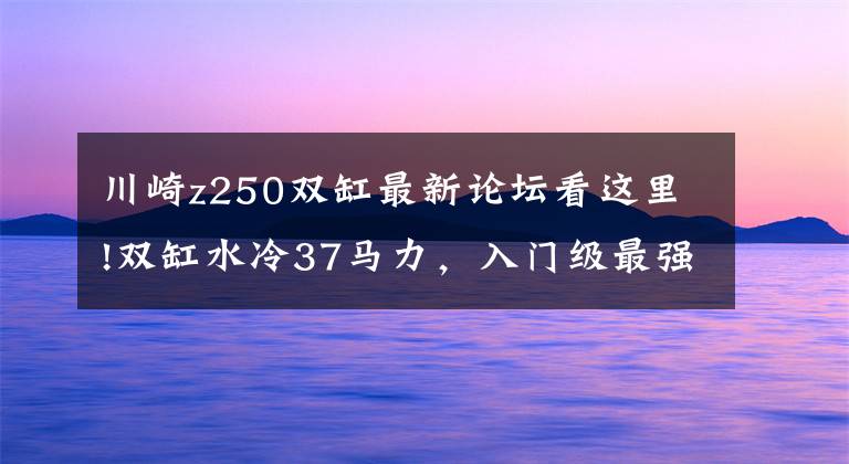 川崎z250雙缸最新論壇看這里!雙缸水冷37馬力，入門(mén)級(jí)最強(qiáng)街車，川崎Z250ABS版更良心