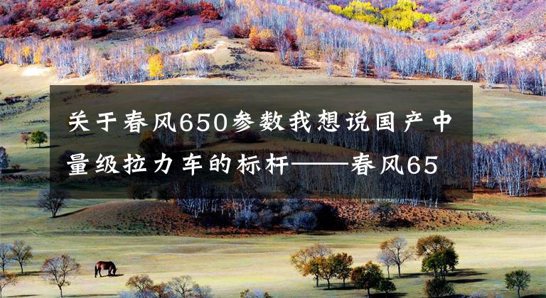 關(guān)于春風(fēng)650參數(shù)我想說國產(chǎn)中量級拉力車的標桿——春風(fēng)650MT實測