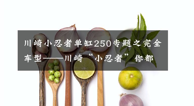 川崎小忍者單缸250專題之完全車型——川崎“小忍者”你都看清了嗎？