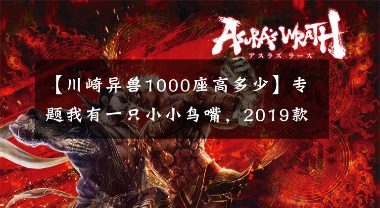 【川崎異獸1000座高多少】專題我有一只小小鳥嘴，2019款川崎Versys1000國內售價15.9萬元