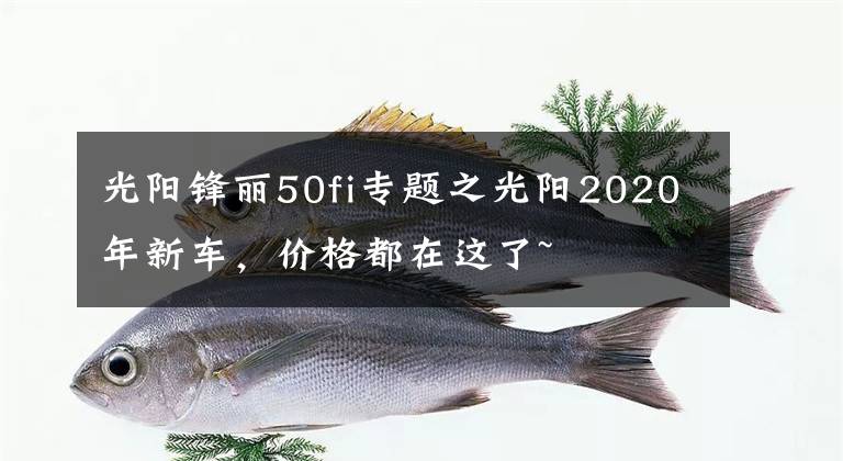 光陽鋒麗50fi專題之光陽2020年新車，價(jià)格都在這了~