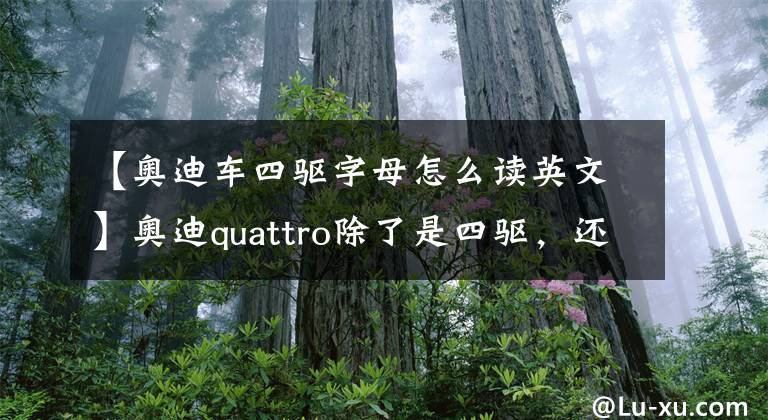 【奧迪車四驅(qū)字母怎么讀英文】奧迪quattro除了是四驅(qū)，還有兩種含義，老司機(jī)不一定知道