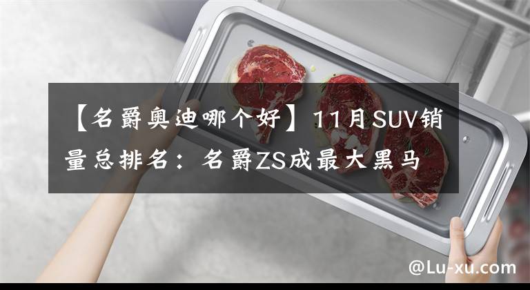 【名爵奧迪哪個好】11月SUV銷量總排名：名爵ZS成最大黑馬，合資車現(xiàn)頹勢