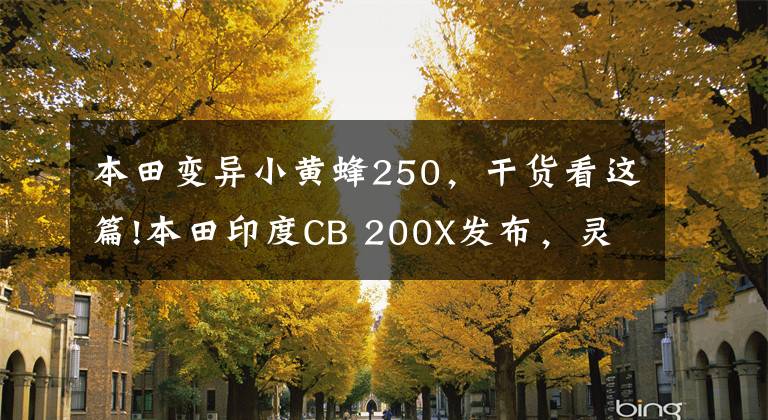 本田變異小黃蜂250，干貨看這篇!本田印度CB 200X發(fā)布，靈感基于Hornet 2.0，配置類似高配版CB 190X