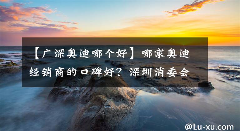 【廣深?yuàn)W迪哪個(gè)好】哪家?jiàn)W迪經(jīng)銷商的口碑好？深圳消委會(huì)發(fā)布消費(fèi)評(píng)價(jià)指數(shù)排行榜