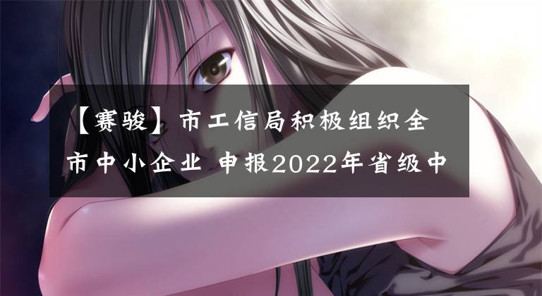 【賽駿】市工信局積極組織全市中小企業(yè) 申報(bào)2022年省級中小企業(yè)技術(shù)改造項(xiàng)目