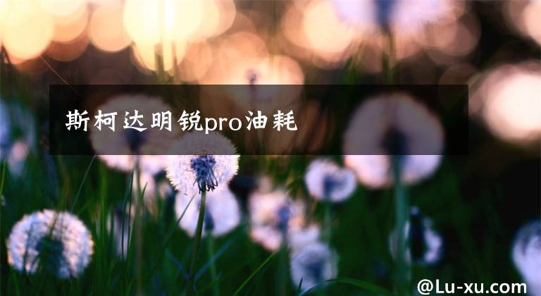 斯柯達(dá)明銳pro油耗