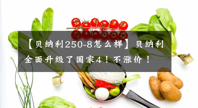 【貝納利250-8怎么樣】貝納利全面升級了國家4！不漲價！