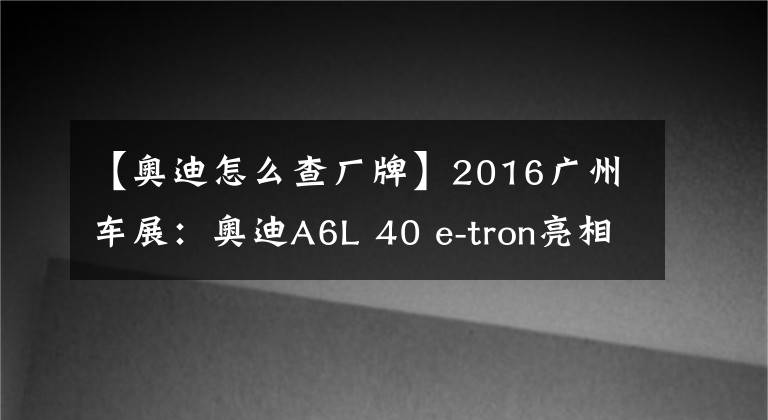 【奧迪怎么查廠牌】2016廣州車(chē)展：奧迪A6L 40 e-tron亮相