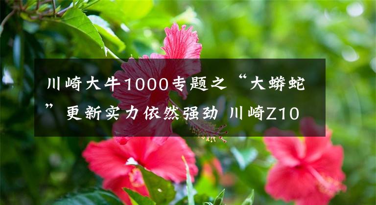 川崎大牛1000專題之“大蟒蛇”更新實力依然強勁 川崎Z1000新款到港實拍