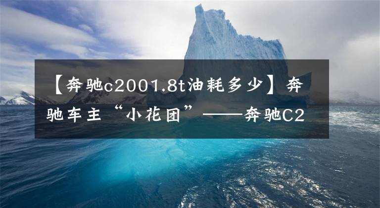 【奔馳c2001.8t油耗多少】奔馳車主“小花團(tuán)”——奔馳C200，不到20萬韓元