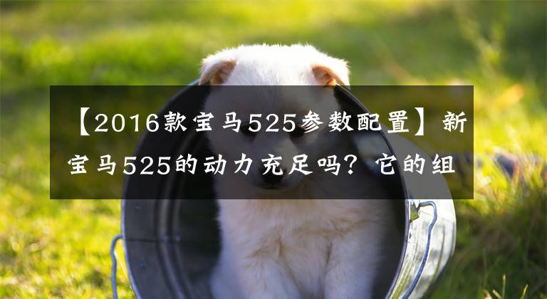 【2016款寶馬525參數(shù)配置】新寶馬525的動(dòng)力充足嗎？它的組成怎么樣？請(qǐng)聽老司機(jī)的評(píng)論