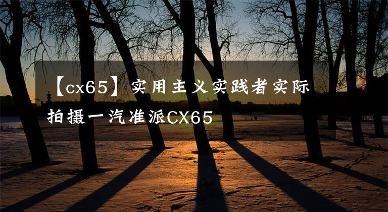 【cx65】實(shí)用主義實(shí)踐者實(shí)際拍攝一汽準(zhǔn)派CX65