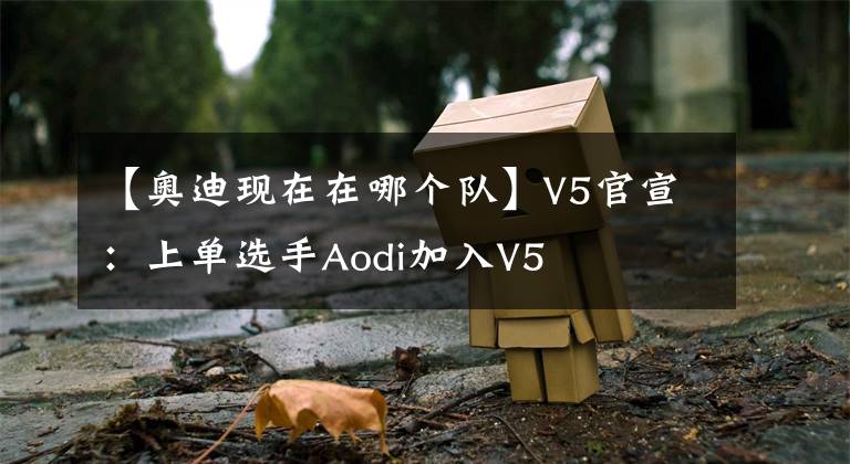 【奧迪現(xiàn)在在哪個隊】V5官宣：上單選手Aodi加入V5