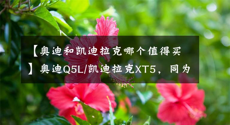 【奧迪和凱迪拉克哪個(gè)值得買】奧迪Q5L/凱迪拉克XT5，同為豪華SUV，誰(shuí)更全能？