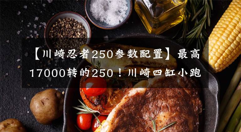 【川崎忍者250參數(shù)配置】最高17000轉(zhuǎn)的250！川崎四缸小跑車Ninja ZX-25R配置公布