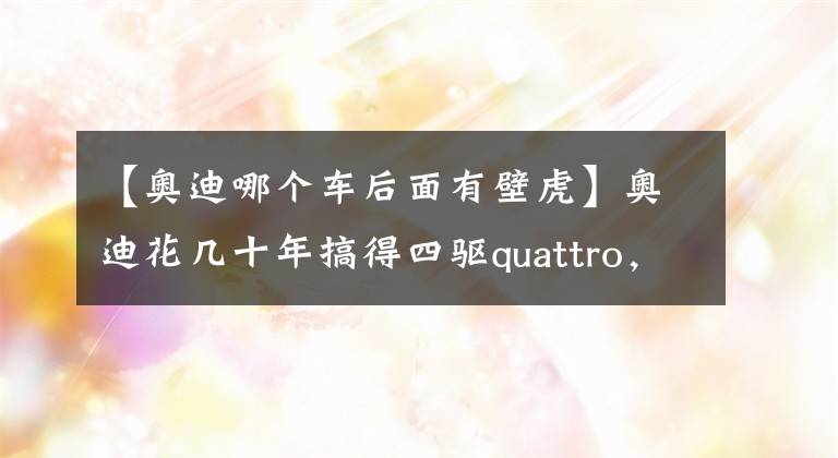 【奧迪哪個(gè)車后面有壁虎】奧迪花幾十年搞得四驅(qū)quattro，現(xiàn)在是個(gè)電動(dòng)車都有雙電機(jī)了！