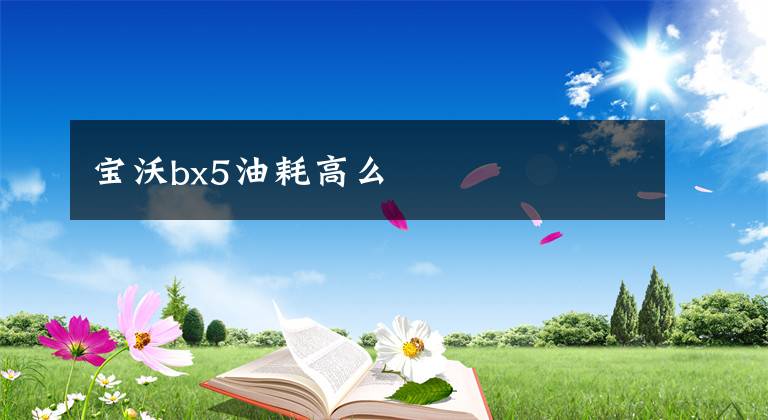 寶沃bx5油耗高么