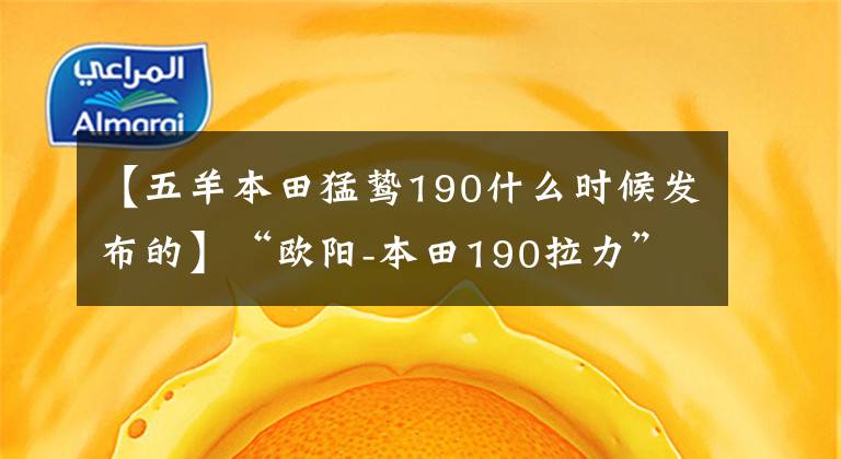 【五羊本田猛鷙190什么時候發(fā)布的】“歐陽-本田190拉力”最近再次公開細節(jié)，10天后上市