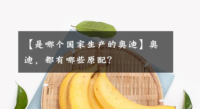 【是哪個(gè)國(guó)家生產(chǎn)的奧迪】奧迪，都有哪些原配？