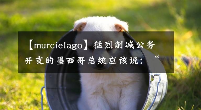 【murcielago】猛烈削減公務開支的墨西哥總統(tǒng)應該說：“政府應該屬于人民。”