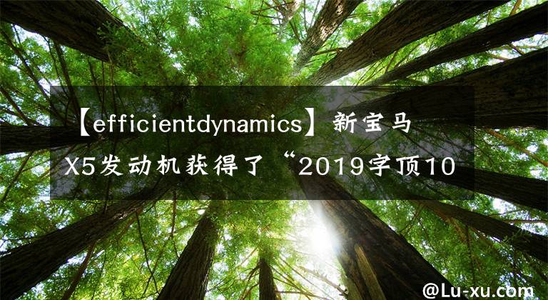 【efficientdynamics】新寶馬X5發(fā)動(dòng)機(jī)獲得了“2019字頂10發(fā)動(dòng)機(jī)”獎(jiǎng)