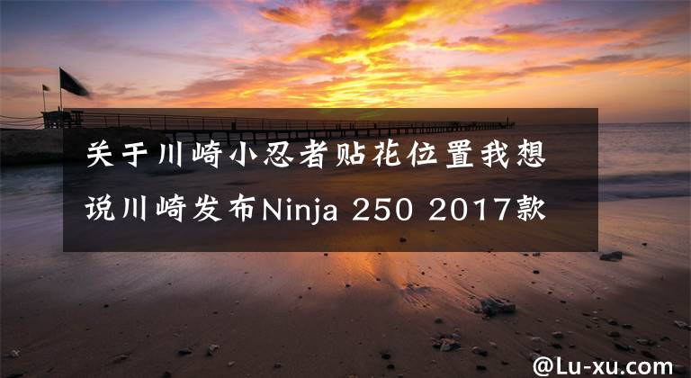 關(guān)于川崎小忍者貼花位置我想說川崎發(fā)布Ninja 250 2017款配色