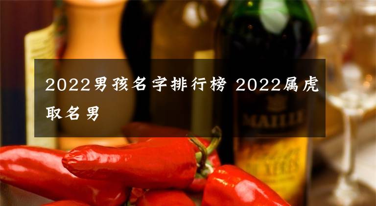 2022男孩名字排行榜 2022屬虎取名男