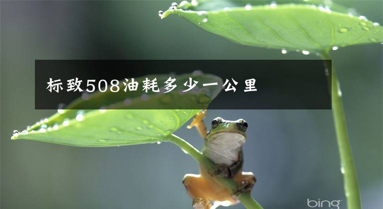 標(biāo)致508油耗多少一公里