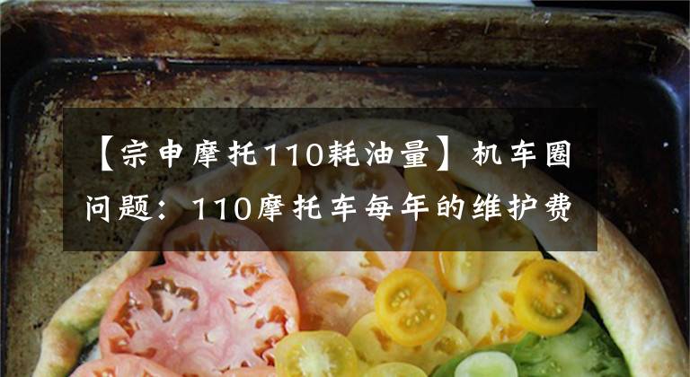 【宗申摩托110耗油量】機車圈問題：110摩托車每年的維護費用和收費是多少？