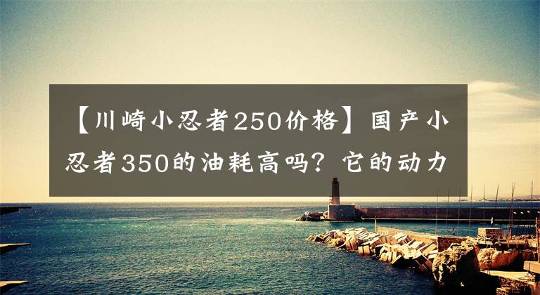 【川崎小忍者250價格】國產(chǎn)小忍者350的油耗高嗎？它的動力肉嗎？老騎手來告訴你答案吧