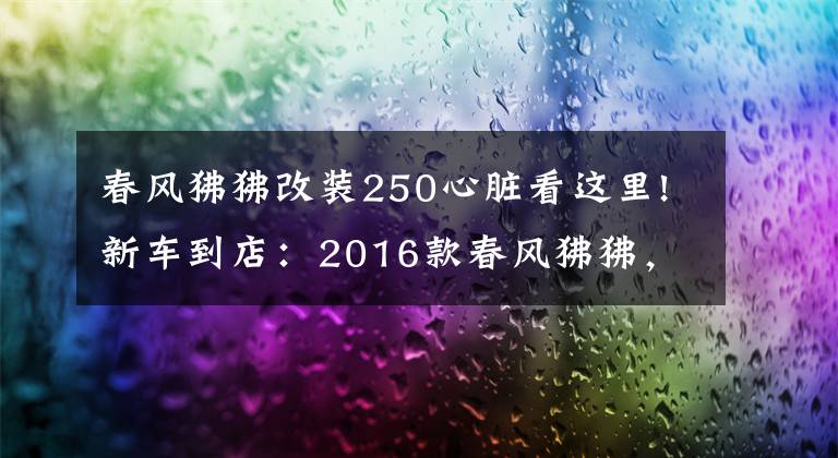 春風(fēng)狒狒改裝250心臟看這里!新車(chē)到店：2016款春風(fēng)狒狒，撩妹神器，潮人必備