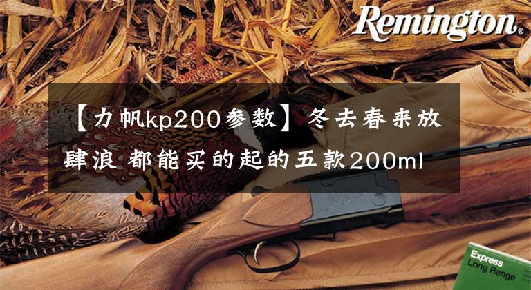 【力帆kp200參數(shù)】冬去春來放肆浪 都能買的起的五款200ml拉力摩托