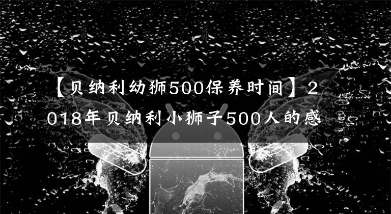 【貝納利幼獅500保養(yǎng)時間】2018年貝納利小獅子500人的感覺