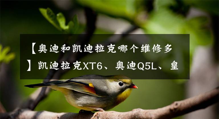 【奧迪和凱迪拉克哪個(gè)維修多】凱迪拉克XT6、奧迪Q5L、皇冠陸放，三款熱門豪華SUV該怎么選？