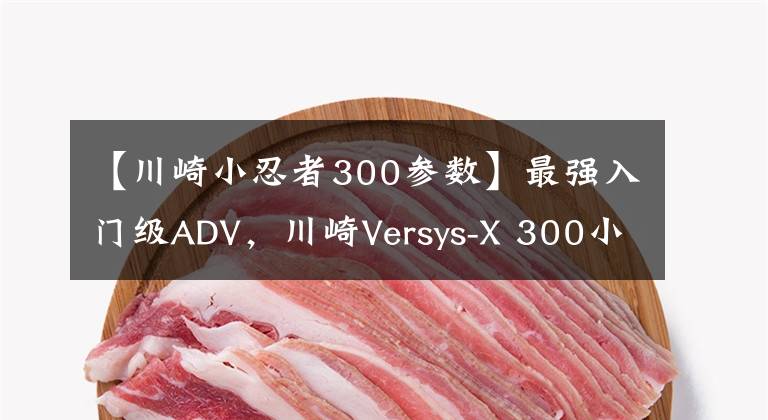 【川崎小忍者300參數(shù)】最強入門級ADV，川崎Versys-X 300小異獸試駕評測