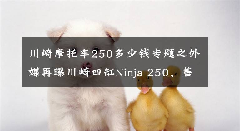 川崎摩托車250多少錢專題之外媒再曝川崎四缸Ninja 250，售價(jià)約在5-6萬元之間？