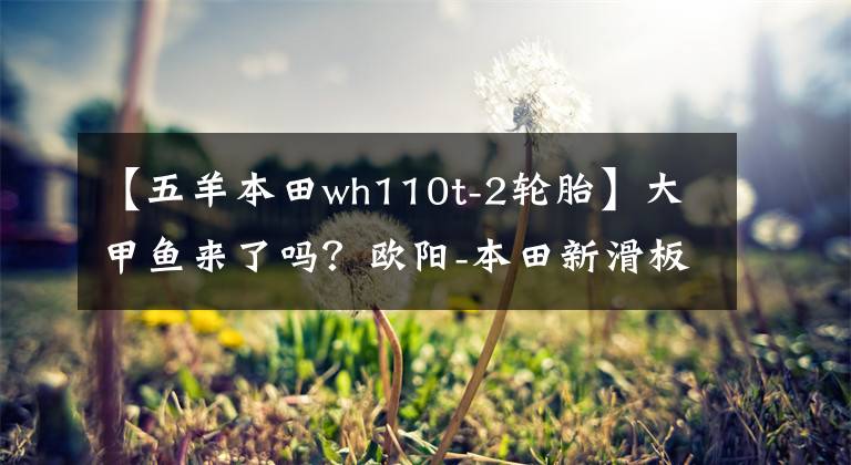 【五羊本田wh110t-2輪胎】大甲魚來了嗎？歐陽-本田新滑板車間諜照片曝光