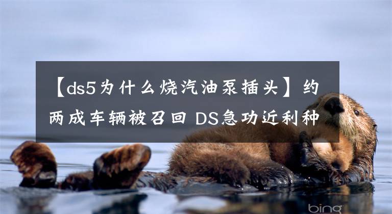 【ds5為什么燒汽油泵插頭】約兩成車輛被召回 DS急功近利種下惡果