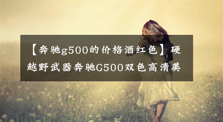 【奔馳g500的價(jià)格酒紅色】硬越野武器奔馳G500雙色高清美容圖欣賞