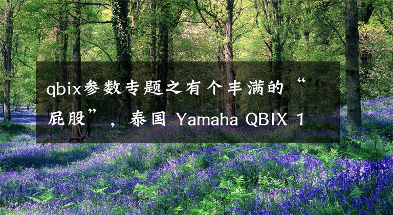 qbix參數(shù)專題之有個(gè)豐滿的“屁股”，泰國(guó) Yamaha QBIX 125 實(shí)拍