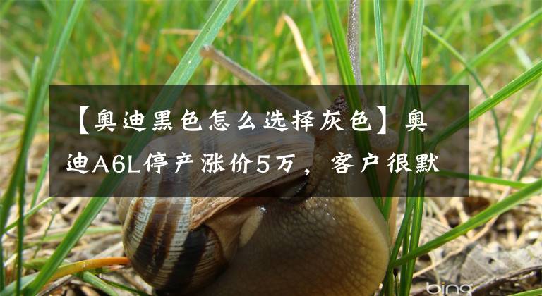 【奧迪黑色怎么選擇灰色】奧迪A6L停產(chǎn)漲價(jià)5萬，客戶很默契概不買單