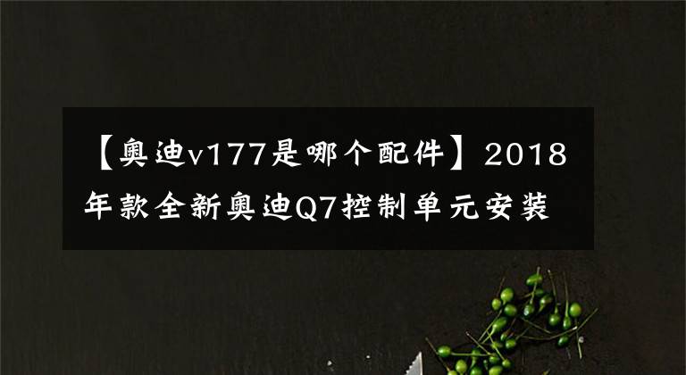 【奧迪v177是哪個配件】2018年款全新奧迪Q7控制單元安裝位置和端子功能說明（前部）