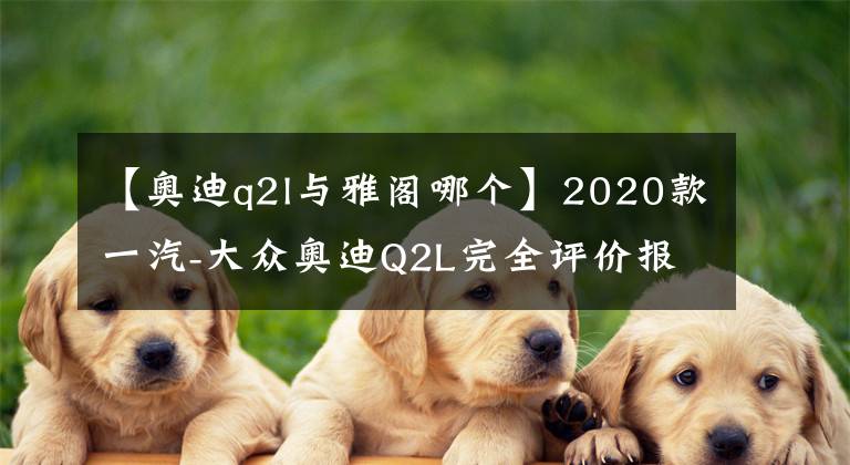 【奧迪q2l與雅閣哪個(gè)】2020款一汽-大眾奧迪Q2L完全評(píng)價(jià)報(bào)告