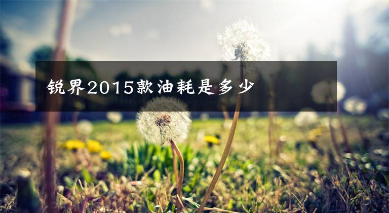 銳界2015款油耗是多少