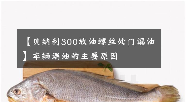 【貝納利300放油螺絲處門漏油】車輛漏油的主要原因